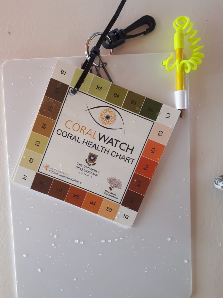 Coral Watch chart I used
