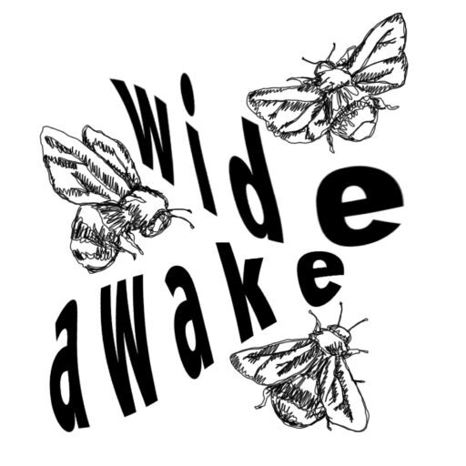 the logo of the site: the title "wide awake" in the middle and three bees flying around it