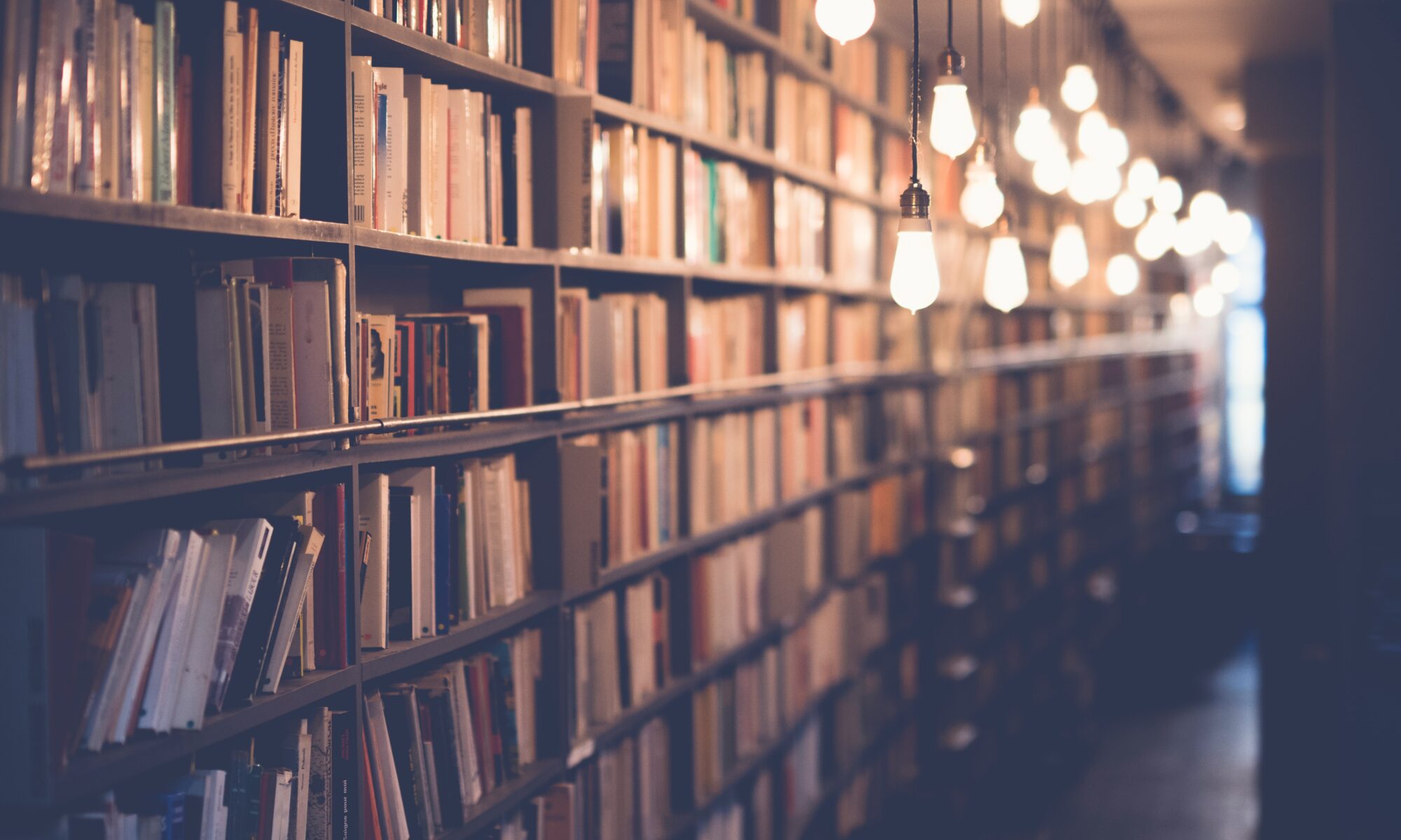 Bookshelves in semi-darkness; light bulbs