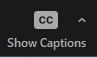 Show Captions button in Zoom with an arrow to the right to access additional options