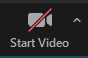 Start Video button showing a red line through the camera to indicate it is currently disabled. There is an arrow to the right to access additional video settings.
