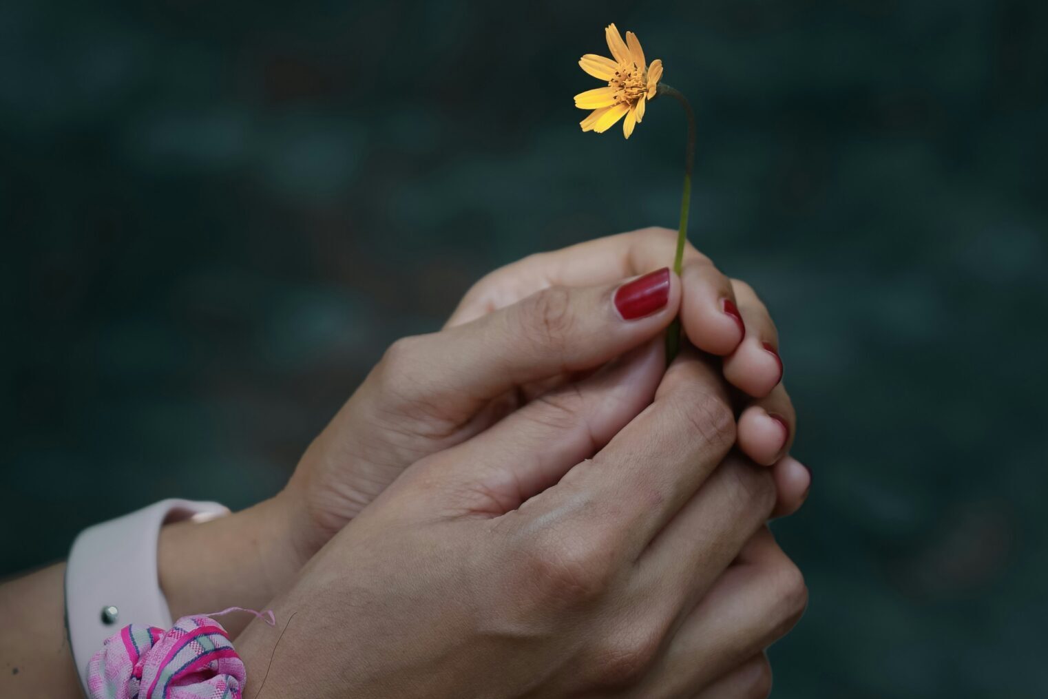 Teaching, Truth and Reconciliation- Teaching and Learning Showcase Series 2025